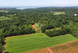 ISTRA, POREČ - Zemljište Ugostiteljsko-turističke namjene 6420 m2, Tar-Vabriga, Terreno