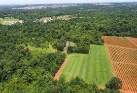 ISTRA, POREČ - Zemljište Ugostiteljsko-turističke namjene 6420 m2, Tar-Vabriga, Terreno