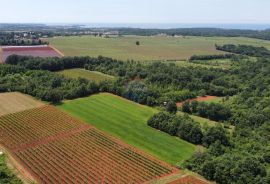 ISTRA, POREČ - Zemljište Ugostiteljsko-turističke namjene 6420 m2, Tar-Vabriga, أرض