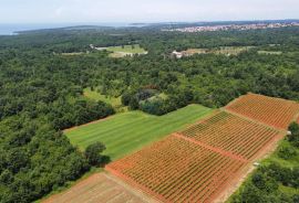 ISTRA, POREČ - Zemljište Ugostiteljsko-turističke namjene 6420 m2, Tar-Vabriga, أرض