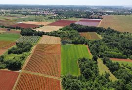 ISTRA, POREČ - Zemljište Ugostiteljsko-turističke namjene 6420 m2, Tar-Vabriga, Terreno