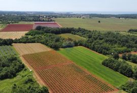 ISTRA, POREČ - Zemljište Ugostiteljsko-turističke namjene 6420 m2, Tar-Vabriga, أرض