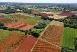 ISTRA, POREČ - Zemljište Ugostiteljsko-turističke namjene 6420 m2, Tar-Vabriga, أرض