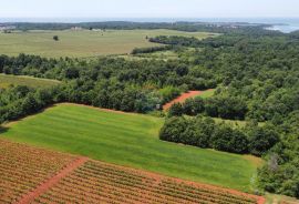 ISTRA, POREČ - Zemljište Ugostiteljsko-turističke namjene 6420 m2, Tar-Vabriga, Terreno