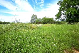 Istra, Umag okolica, negrađevinsko zemljište, Umag, Terreno