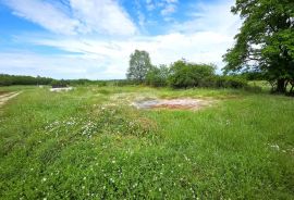 Istra, Umag okolica, negrađevinsko zemljište, Umag, Land