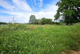 Istra, Umag okolica, negrađevinsko zemljište, Umag, Land