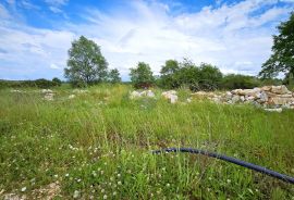 Istra, Umag okolica, poljoprivredno zemljište, Umag, أرض