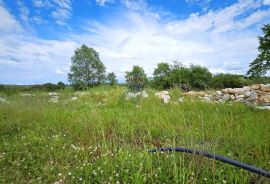 Istra, Umag okolica, poljoprivredno zemljište, Umag, Land