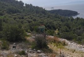 Korčula, Blato, 90 000m2 poljoprivredno zemljište, Blato, Tierra