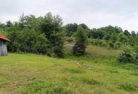 Karlovačka županija , Tržić Primišljanski - autohona kuća sa okućnicom 28 666 m2, Slunj, House