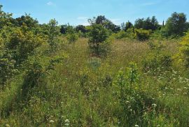 Istra, Šišan, negrađevinski teren 7355 m2  na rubu urbanizacije, Ližnjan, Arazi