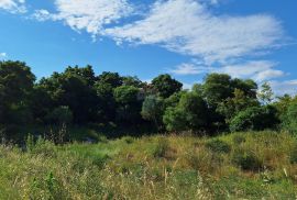 Istra, Šišan, negrađevinski teren 7355 m2  na rubu urbanizacije, Ližnjan, Terreno