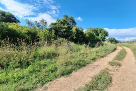 Istra, Šišan, negrađevinski teren 7355 m2  na rubu urbanizacije, Ližnjan, Tierra