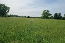 Istra, Žminj - više građevinskih zemljišta 1000 m2, Žminj, Zemljište