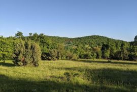 Istra, Bale - poljoprivredne parcele razne površine, Bale, Terra