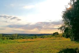 Istra, Buje - top lokacija, panoramski pogled na more, Buje, Terra