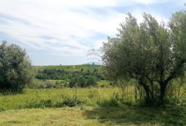 Istra, Buje - top lokacija, panoramski pogled na more, Buje, Land