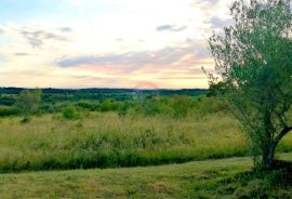 Istra, Buje - top lokacija, panoramski pogled na more, Buje, Tierra