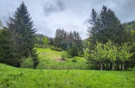 Gorski Kotar, Lokve - uređena kuća sa okućnicom, Lokve, Maison