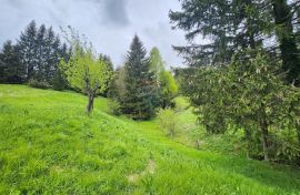 Gorski Kotar, Lokve - uređena kuća sa okućnicom, Lokve, Kuća