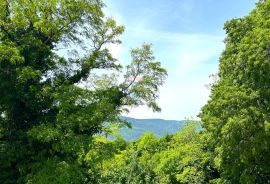 Građevinsko zemljište,Istra,Građevinska dozvola, Buzet, Terreno