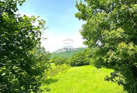 Građevinsko zemljište,Istra,Građevinska dozvola, Buzet, Terreno