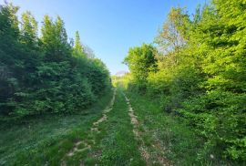 Istra, Bale, poljoprivredno zemljište, Bale, Terreno