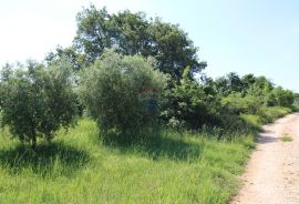 Građevisnko zemljište u Poreču s pogledom na more, Poreč, Zemljište