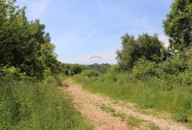 Poljoprivredno zemljište u Taru, Tar-Vabriga, Terreno