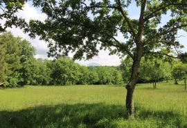 Poljoprivredno zemljište u Taru, Tar-Vabriga, Land