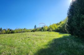 Gorski Kotar, Vrata - građevinko-poljoprivredni teren 21.911 m2, Fužine, Γη