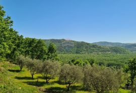 Oprtalj, okolica: Kombinacija građevinskog i poljoprivrednog zemljišta predivnog pogleda, Oprtalj, Terreno