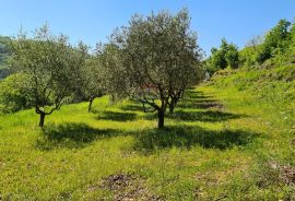 Oprtalj, okolica: Kombinacija građevinskog i poljoprivrednog zemljišta predivnog pogleda, Oprtalj, Land