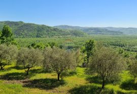 Oprtalj, okolica: Kombinacija građevinskog i poljoprivrednog zemljišta predivnog pogleda, Oprtalj, Tierra