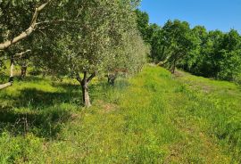 Oprtalj, okolica: Kombinacija građevinskog i poljoprivrednog zemljišta predivnog pogleda, Oprtalj, Land