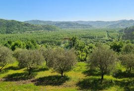 Oprtalj, okolica: Kombinacija građevinskog i poljoprivrednog zemljišta predivnog pogleda, Oprtalj, Arazi