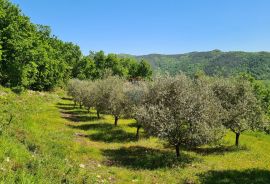 Oprtalj, okolica: Kombinacija građevinskog i poljoprivrednog zemljišta predivnog pogleda, Oprtalj, Terrain