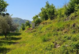 Oprtalj, okolica: Kombinacija građevinskog i poljoprivrednog zemljišta predivnog pogleda, Oprtalj, Terrain