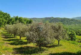 Oprtalj, okolica: Kombinacija građevinskog i poljoprivrednog zemljišta predivnog pogleda, Oprtalj, Terrain