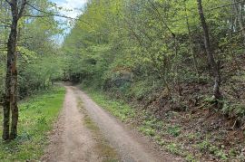 Gorski Kotar, Belo - poljoprivredni teren 1964 m2, Delnice, Terra