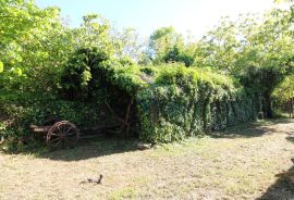 Istra, okolica Marčane, starina za adaptaciju, Marčana, House