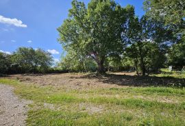 Istra, Kaštel-Buje, građevinsko zemljište stambene namjene, Buje, Zemljište