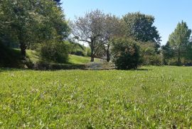 Istra, Pazin okolica samostojeća kuća, Cerovlje, بيت