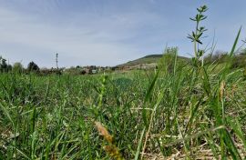 Gorski Kotar - Vrbovsko - građevinski teren, Vrbovsko, Terra