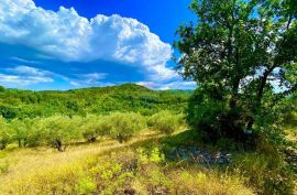 Istra, Draguć, građevinsko zemljište u prekrasnom okruženju!, Cerovlje, Γη