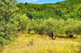 Istra, Draguć, građevinsko zemljište u prekrasnom okruženju!, Cerovlje, Γη