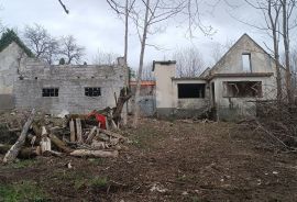 Karlovačka županija,Janja Gora - Kuća, dvor, gospodarske zgrade i zemljište 85 528 m2, Plaški, House