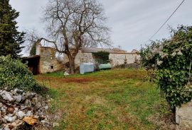 ISTRA, Manjadvorci - imanje sa idejnim projektom za investiciju, Barban, House