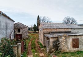 ISTRA, Manjadvorci - imanje sa idejnim projektom za investiciju, Barban, Kuća